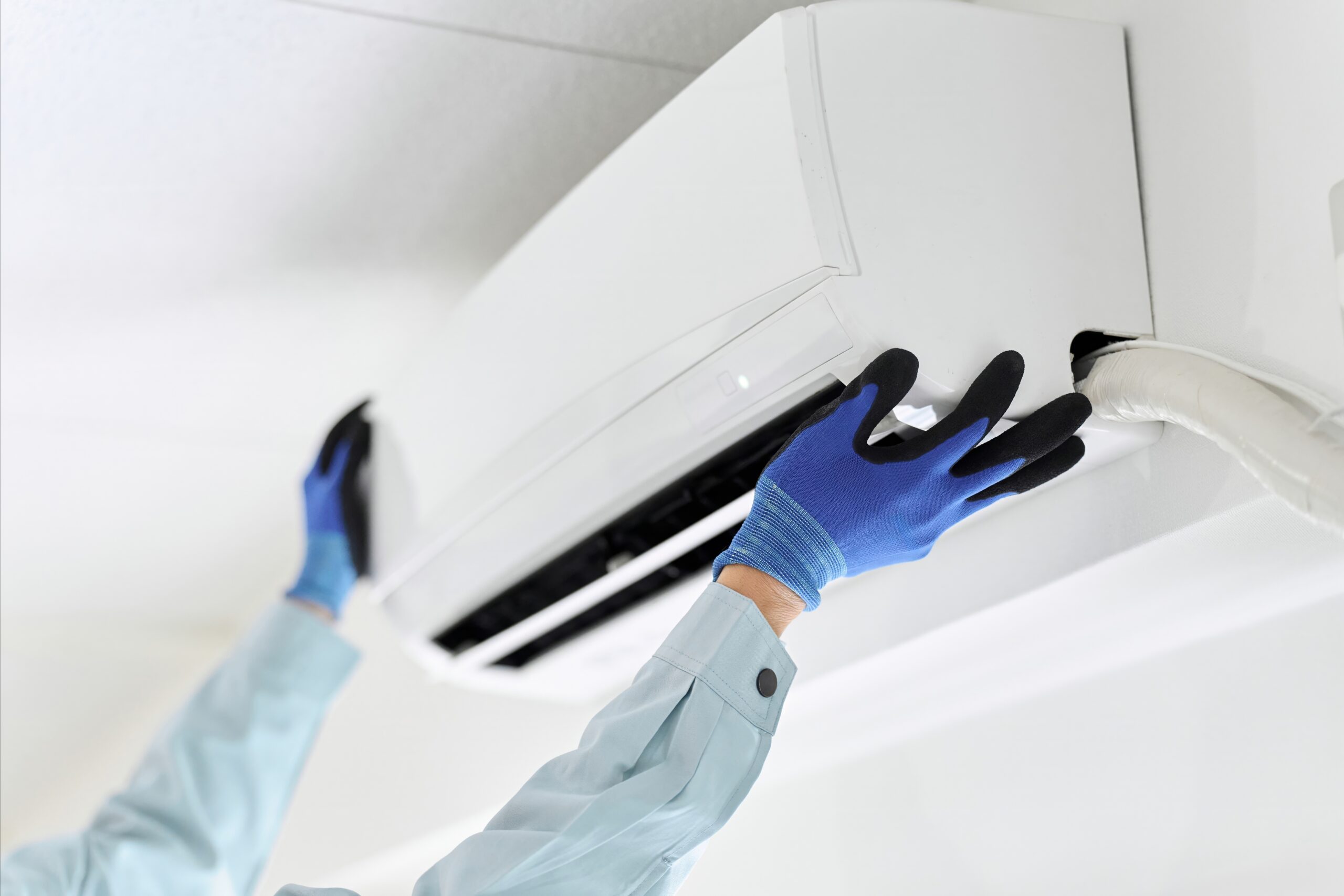 shutterstock 2406797411 scaled 1